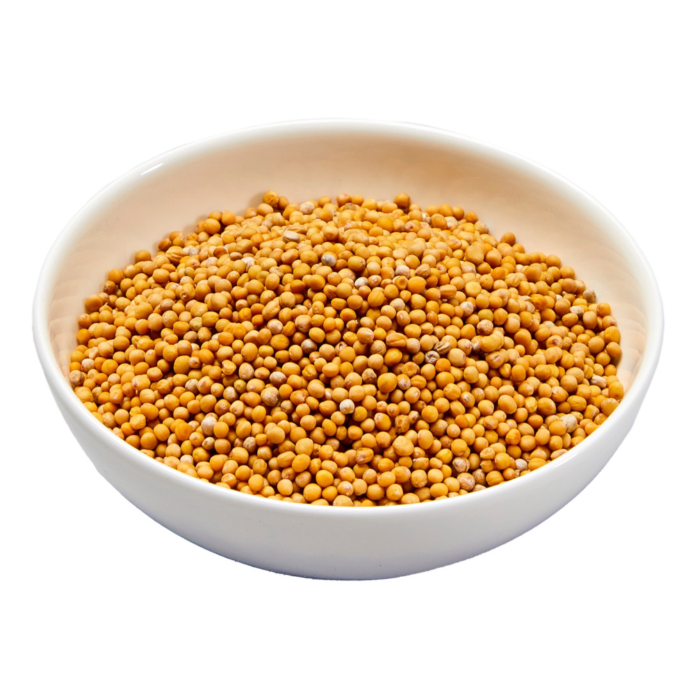 Beck Mustard Seeds